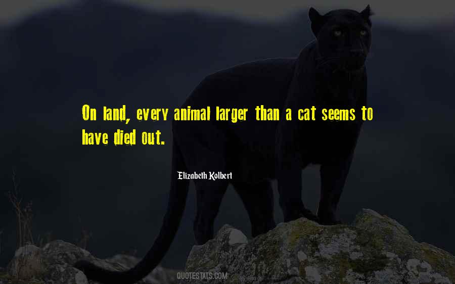 Larger Than Quotes #911215