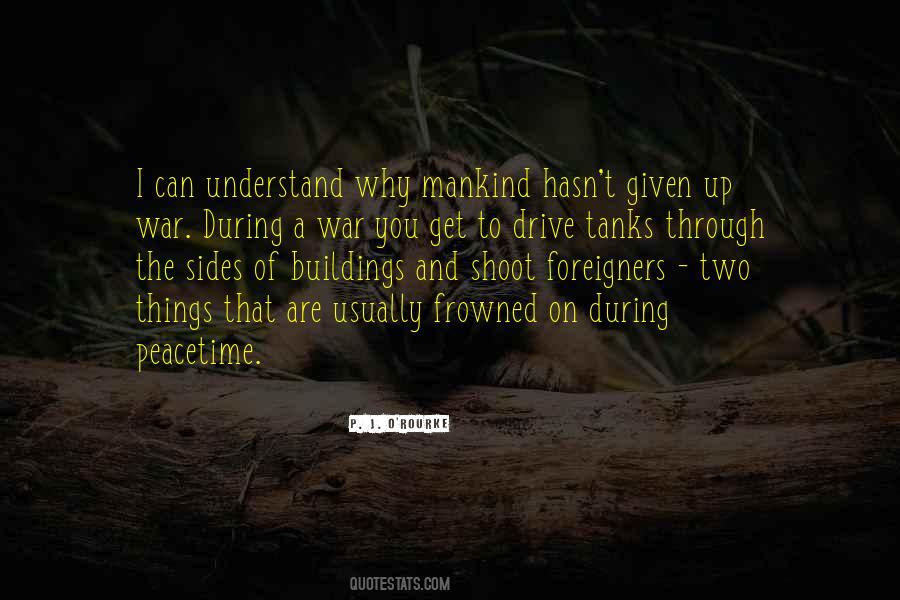 Quotes About Things You Can't Understand #1606002