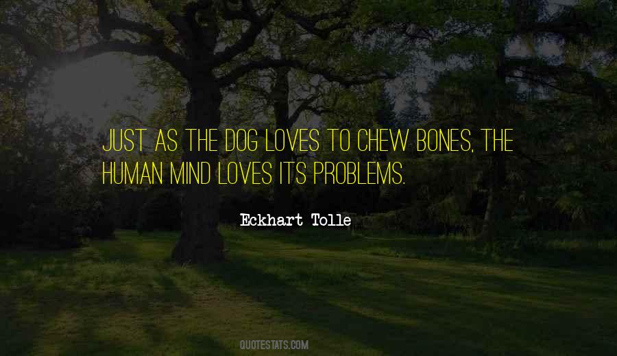Human To Dog Quotes #1064318