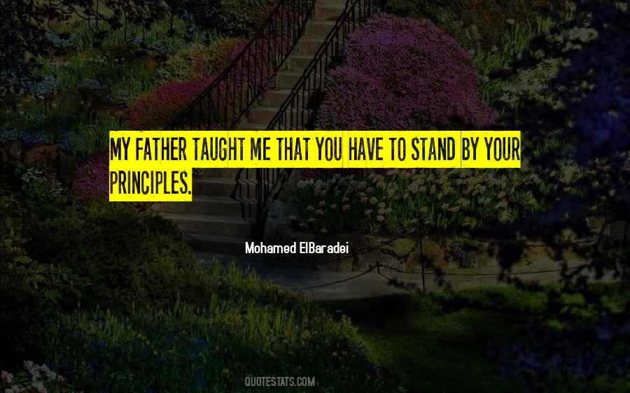 Quotes About Your Principles #1818962
