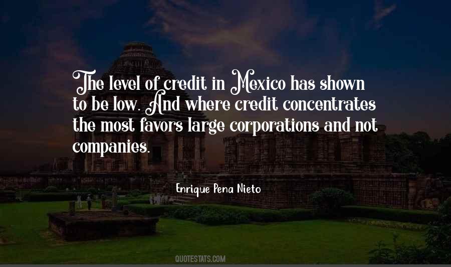 Quotes About Large Corporations #1554936