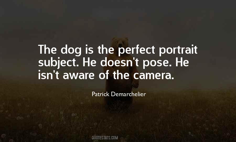 Dog Pose Quotes #956668