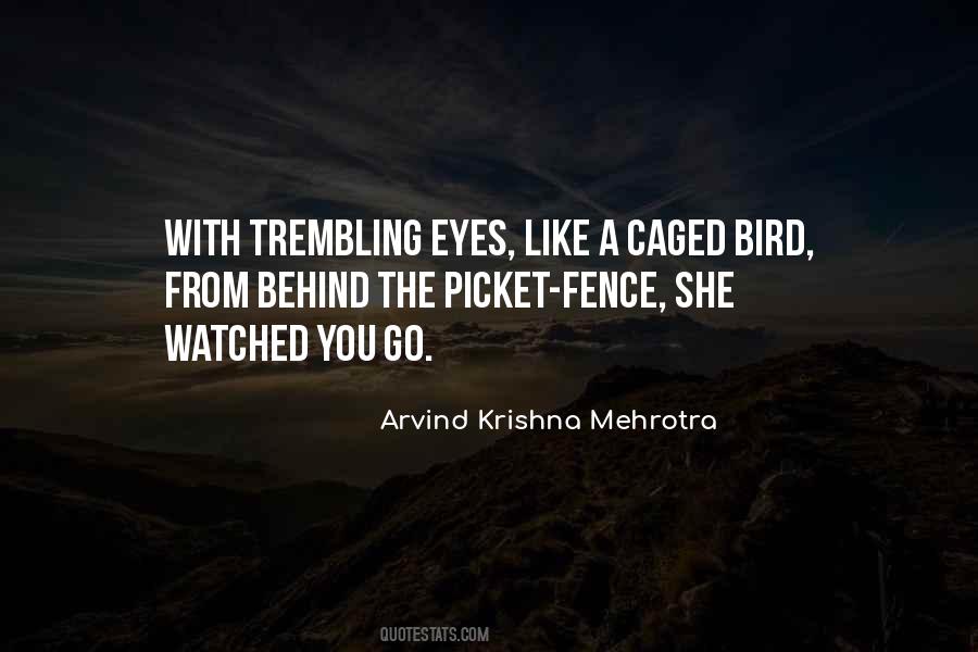 Quotes About Behind The Eyes #433705