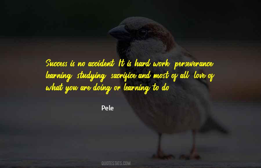 Quotes About Hard Work And Perseverance #836704