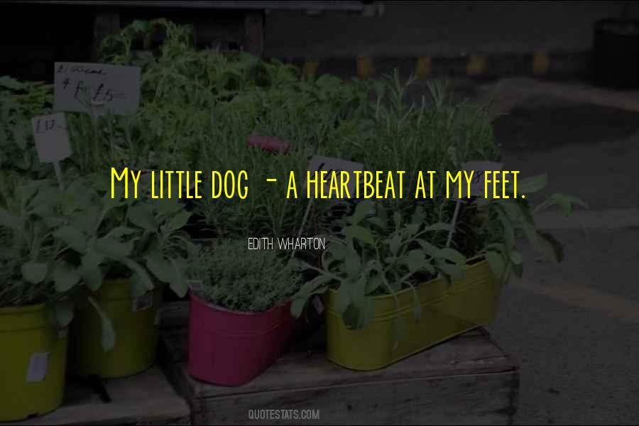 Clever Society Quotes #29464