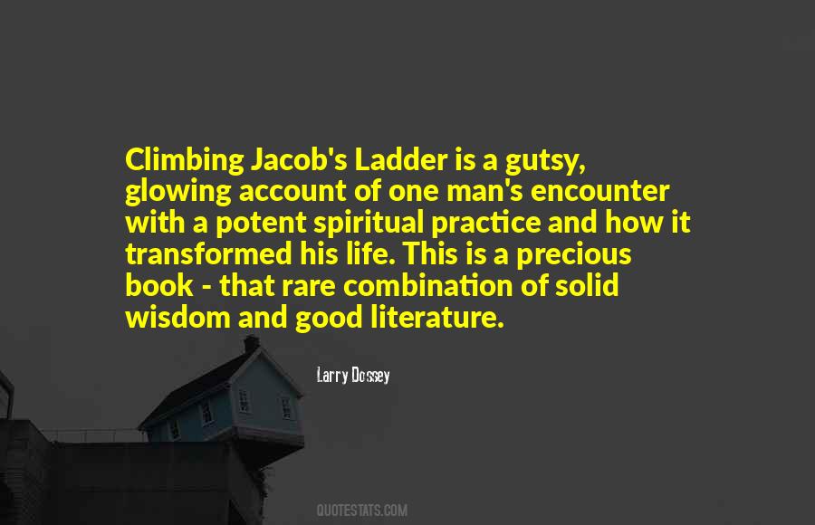 Quotes About Climbing A Ladder #184311