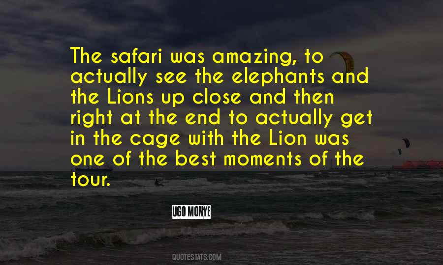 Quotes About Safari #1328652