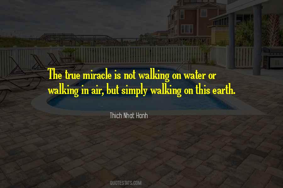Quotes About Twin Souls #468030