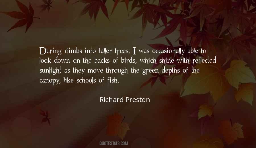 Quotes About Trees #1662826