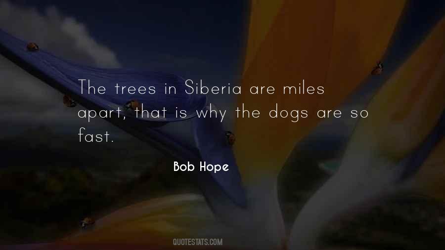 Quotes About Trees #1667328