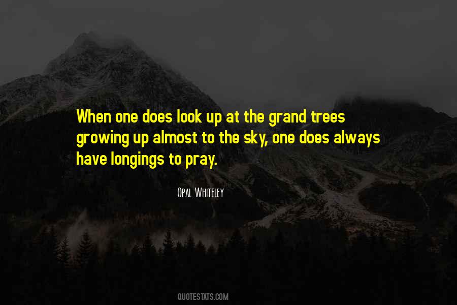 Quotes About Trees #1668919