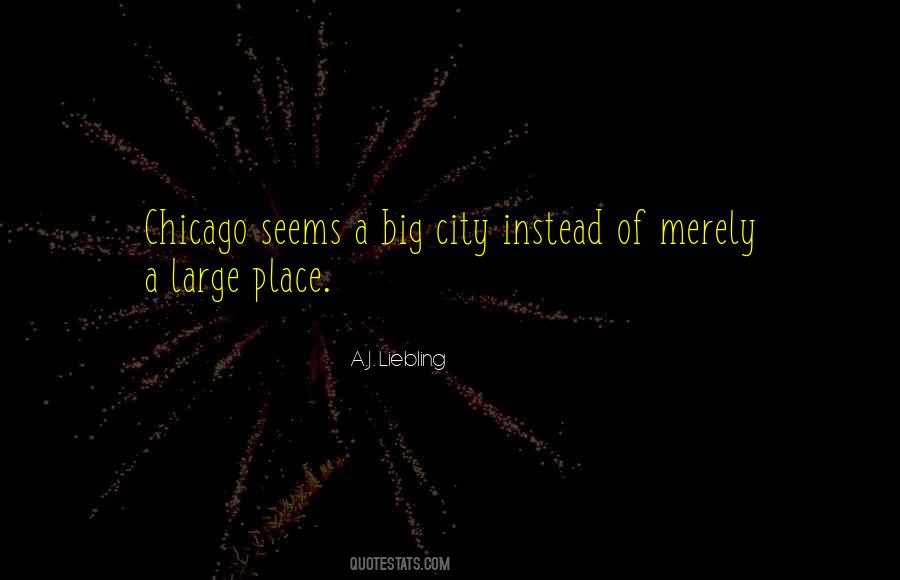 Quotes About A Big City #414466