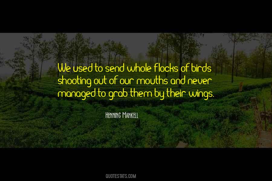 Quotes About Flocks Of Birds #595494