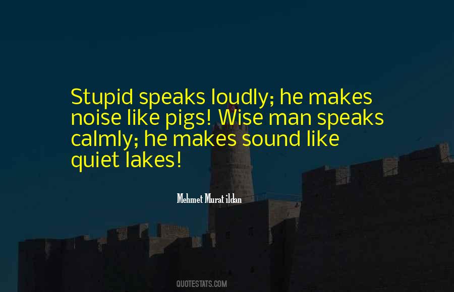 Stupid Like Quotes #214148