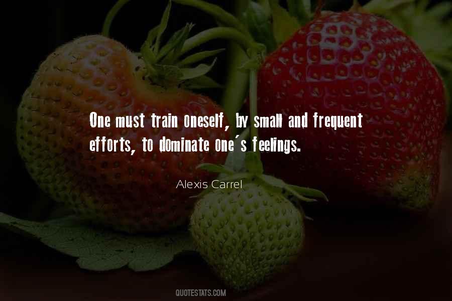 Quotes About Small Efforts #1343171