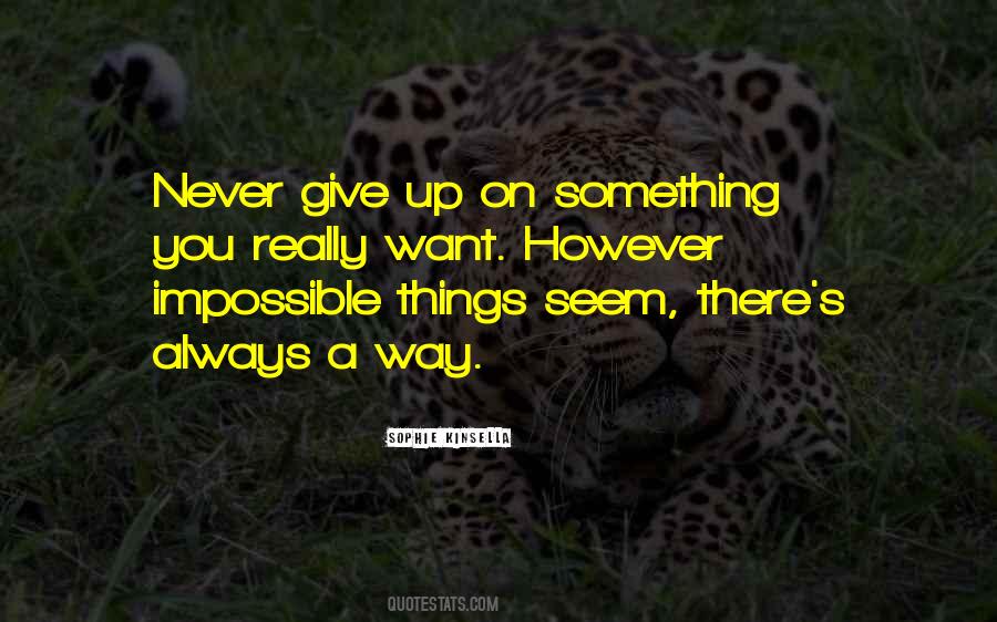 Quotes About Never Give Up On Something #252561