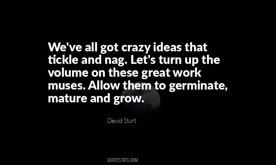 Quotes About Crazy Ideas #1748195
