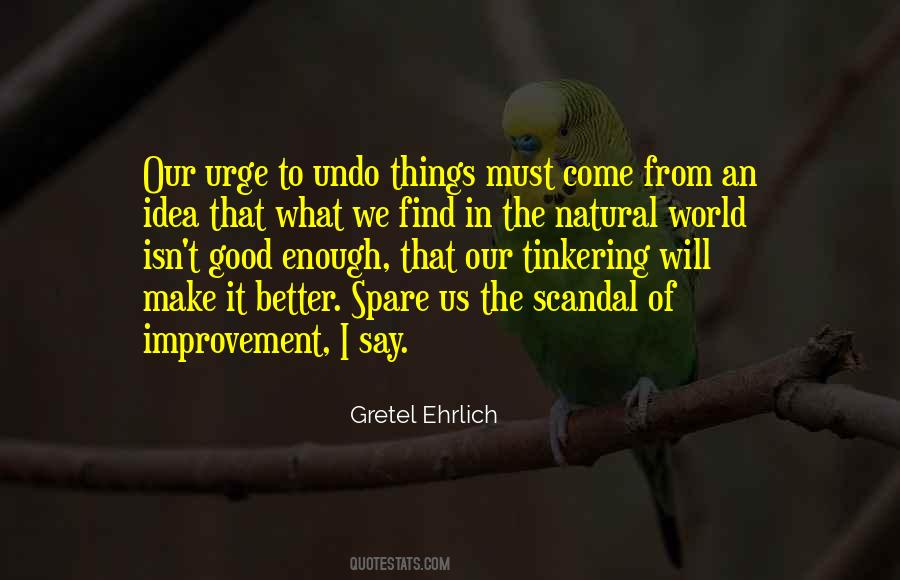 World Improvement Quotes #81541