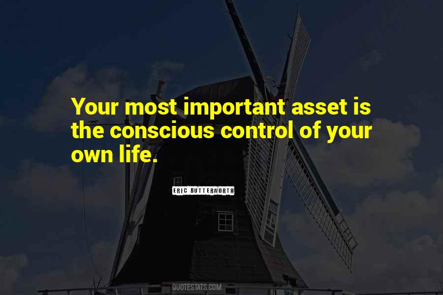 Your Assets Quotes #357714