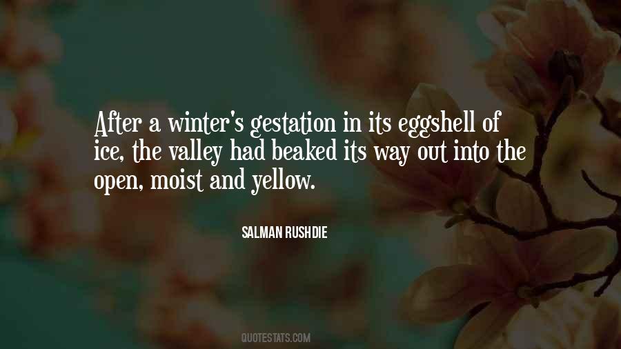 Quotes About Winter #1806960