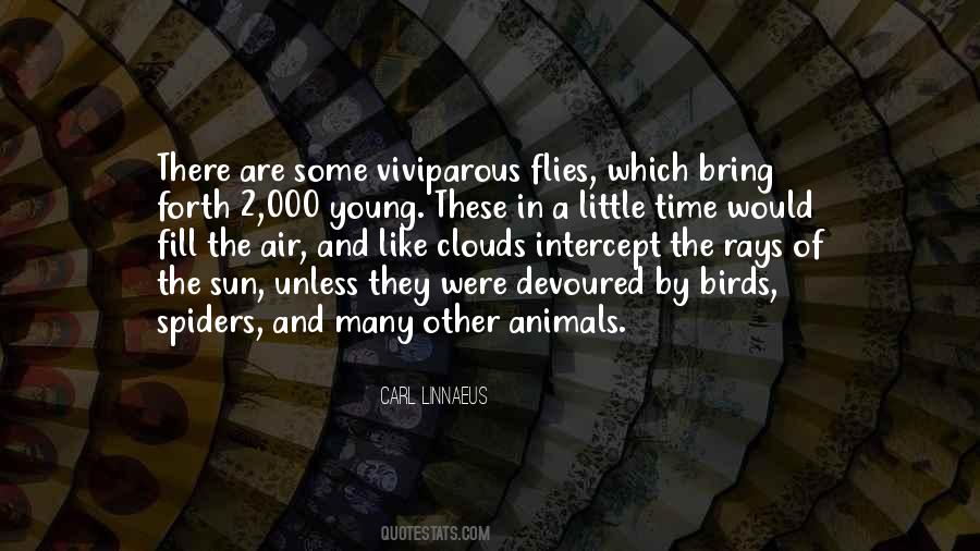 Viviparous Animals Quotes #1518594