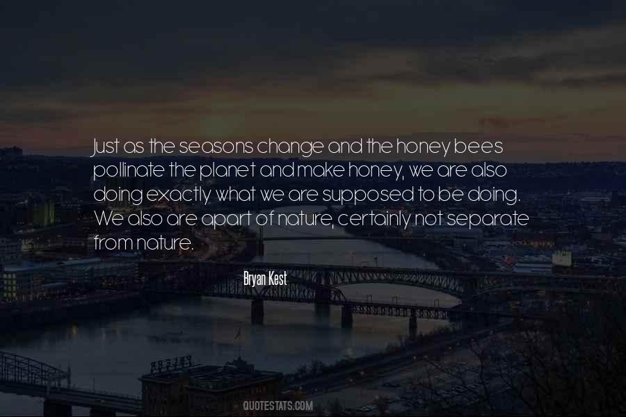 Quotes About Bees #1312354