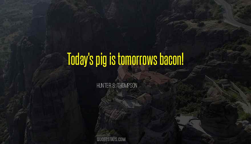 Quotes About Tomorrow #21709 Quotes About Tomorrow #21709