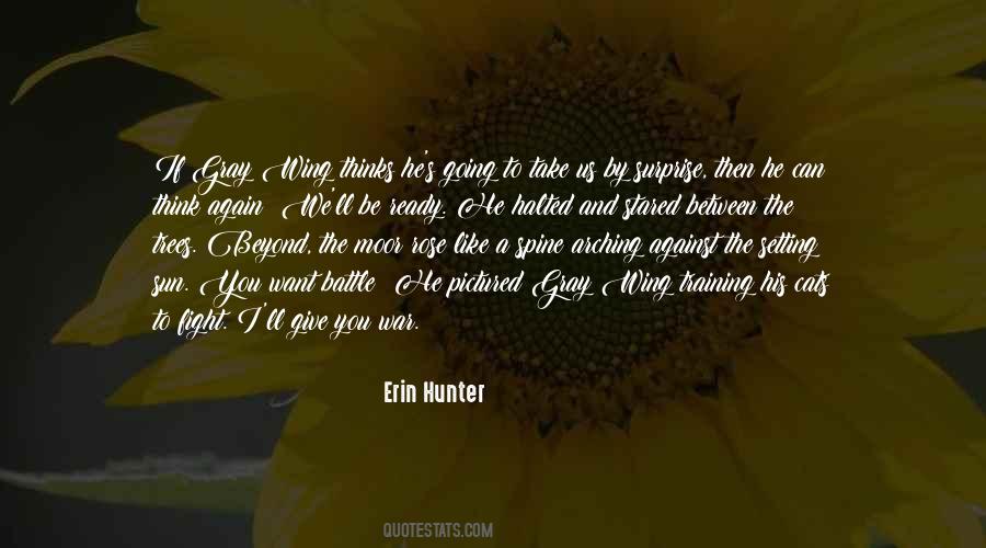 Quotes About The Setting #1031955