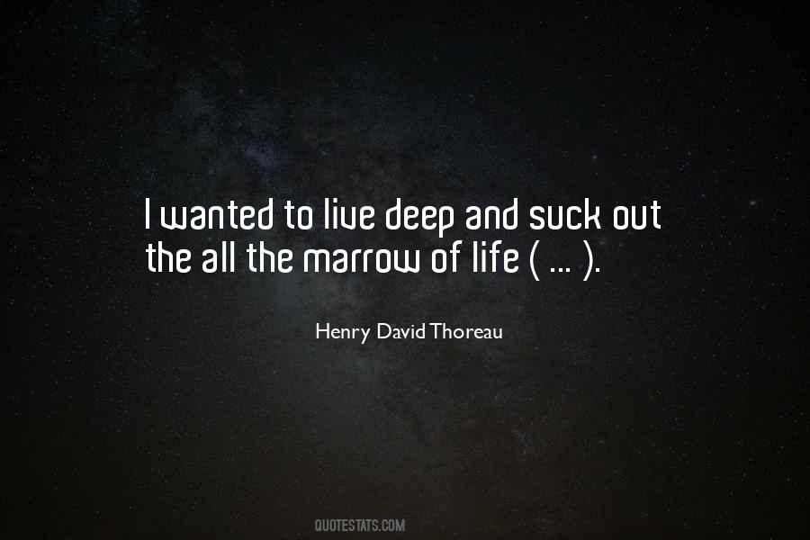 Henry Thoreau Quotes #31032