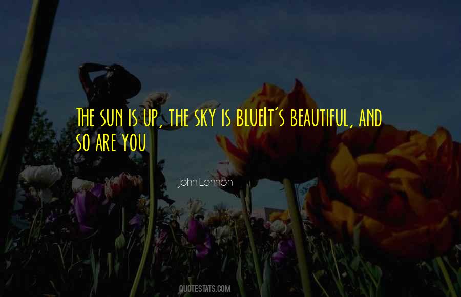 Quotes About The Beautiful Sky #1106371