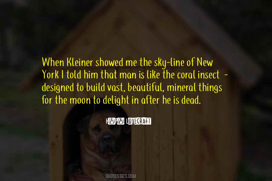 Quotes About The Beautiful Sky #272785