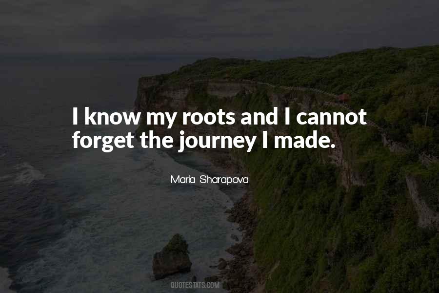 Quotes About The Journey #1105376