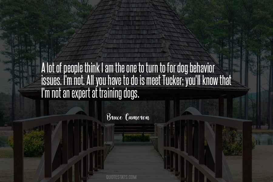 Quotes About Training Dogs #850335