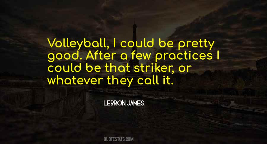 Quotes About Volleyball #1050278