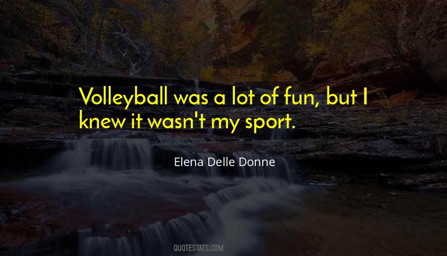 Quotes About Volleyball #1719448