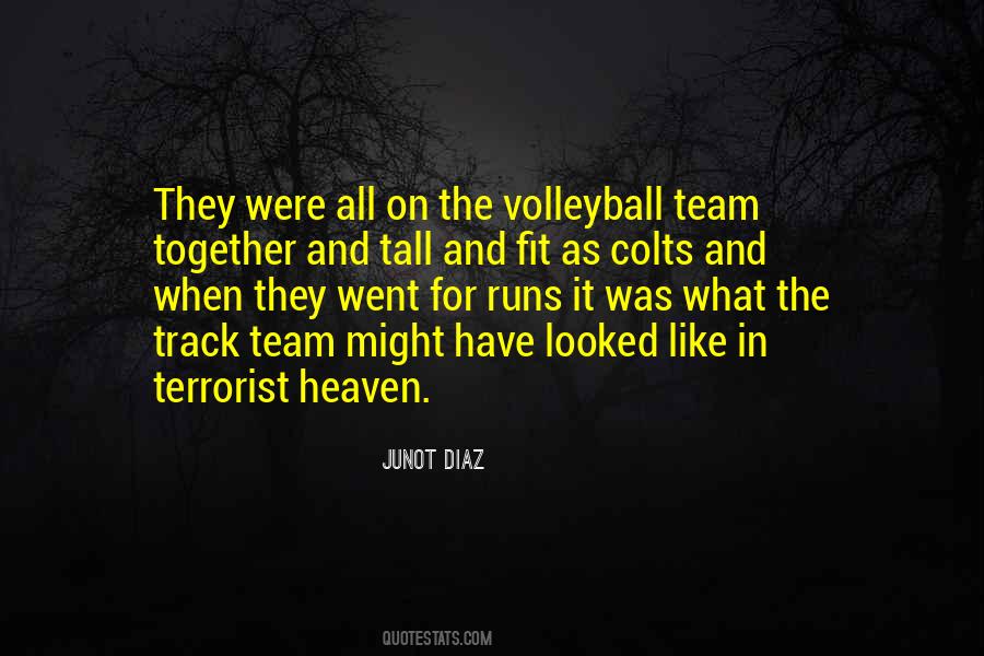 Quotes About Volleyball #699806