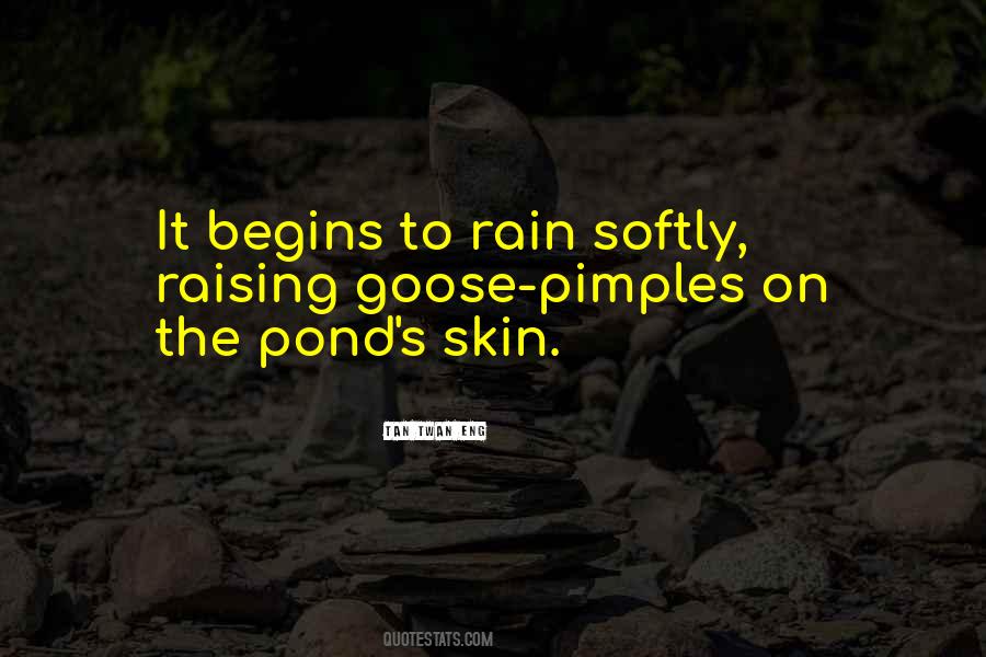 Quotes About Pimples #920111