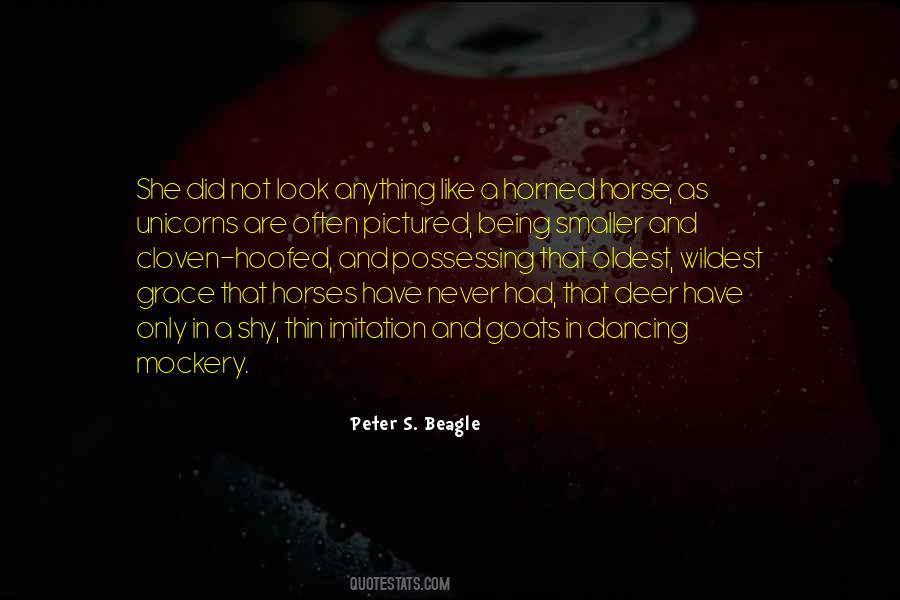 Quotes About Not Being Shy #243904