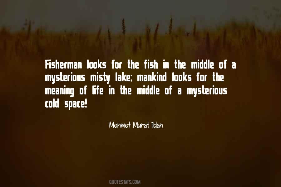 Quotes About Mysterious Life #96637