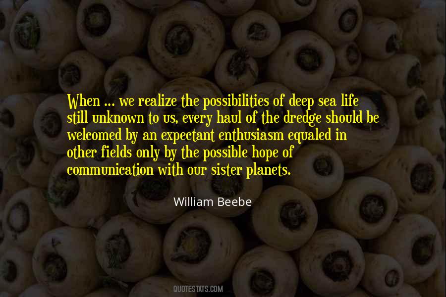 Ocean Of Possibilities Quotes #1151491