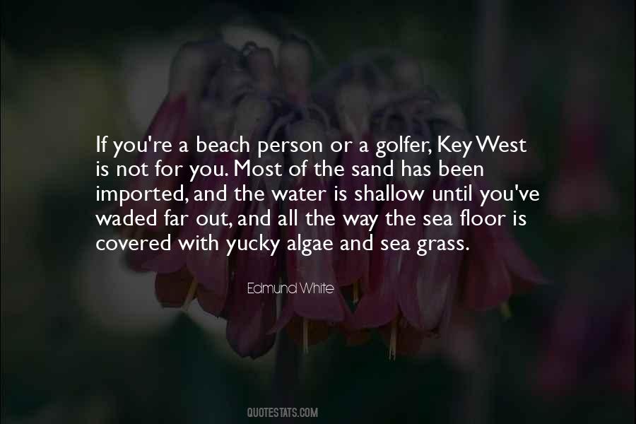 Quotes About Sand Beach #53715