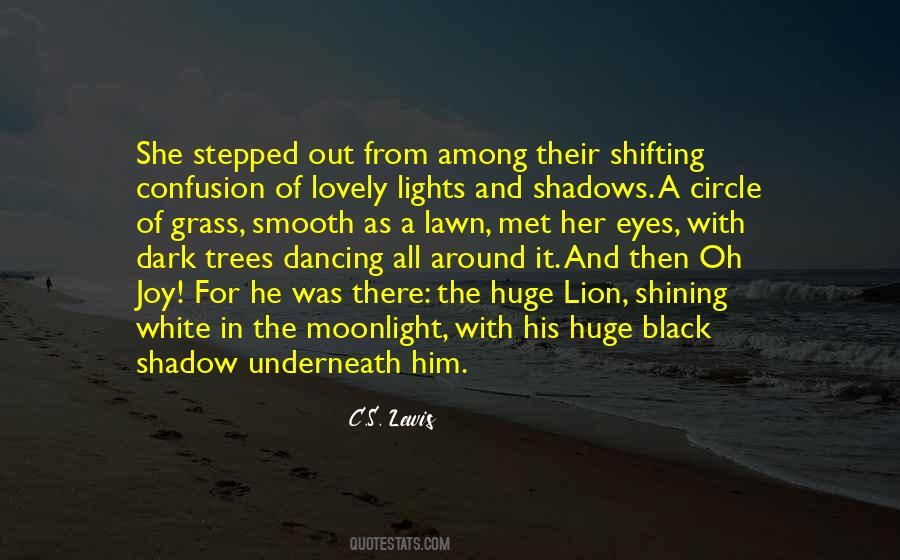 Quotes About Lights And Shadows #1065972