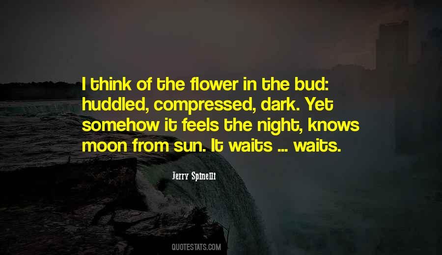 Quotes About Flower Bud #1553463