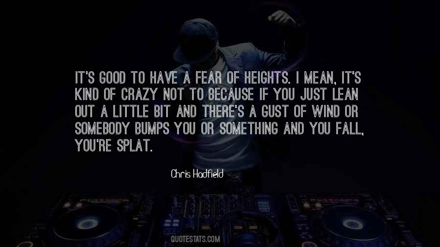 Quotes About Fear Of Heights #957819