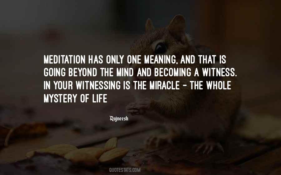 Miracle In Quotes #90664