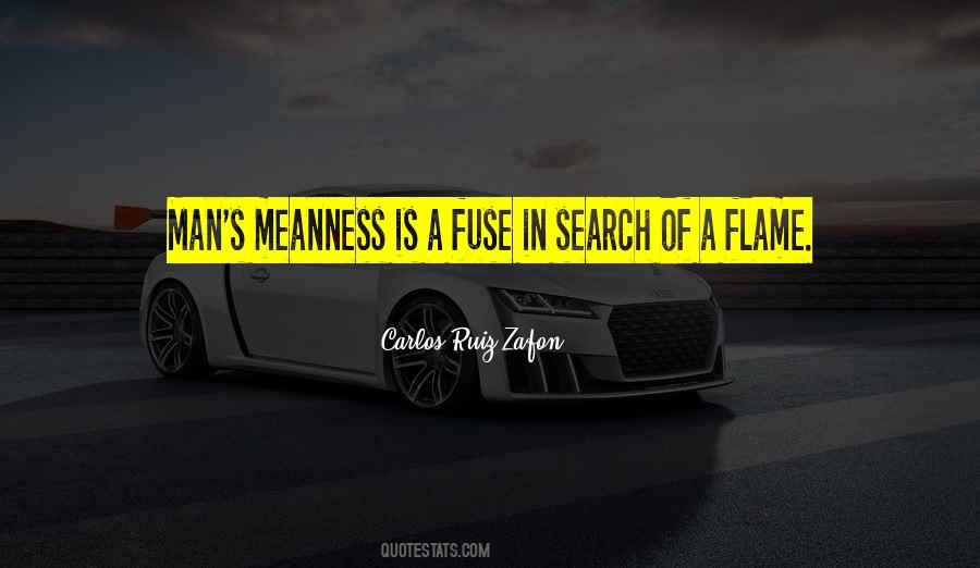 Quotes About Meanness #730609