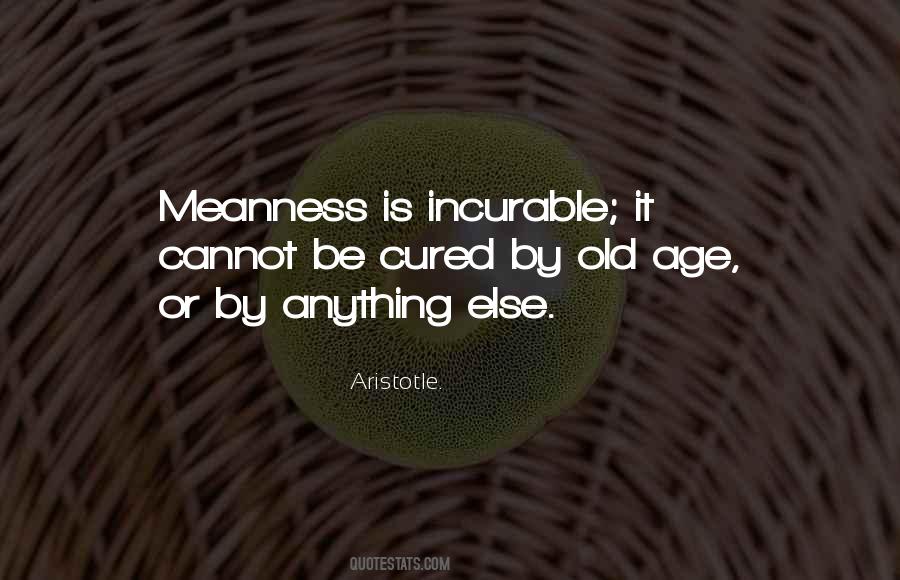 Quotes About Meanness #981030