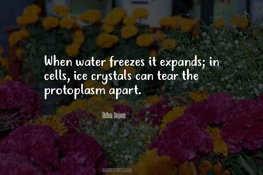 Quotes About Ice Crystals #448632