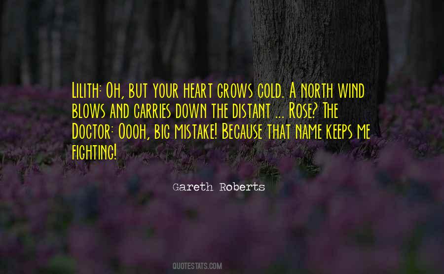 Quotes About The North Wind #1262509