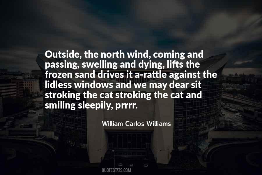 Quotes About The North Wind #513328